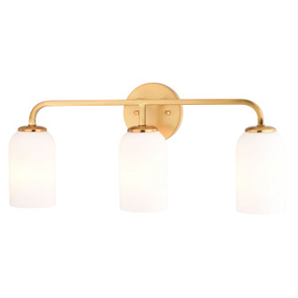 Shelby Three Light Vanity in Natural Brass (63|W0484)