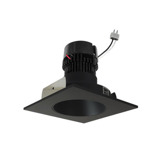 LED Retrofit Reflector in Black Reflector / Black Flange (167|NPRLV4SNDC40XBB)