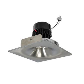 LED Bullnose Retrofit in Natural Metal (167|NPRLV4SNBCDXNN) LED Bullnose Retrofit in Natural Metal (167|NPRLV4SNBCDXNN)