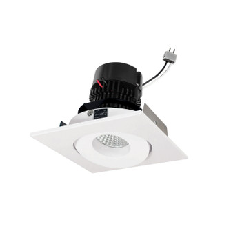 LED Gimbal Retrofit in Bright White (167|NPRLV4SGCDXMPW)