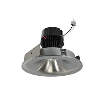 LED Retrofit in Natural Metal (167|NPRLV4RNBCDXNN)