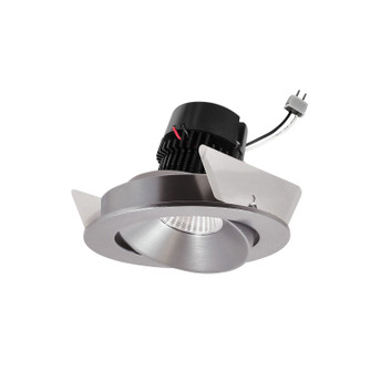 LED Retrofit in Natural Metal Reflector / Natural Metal Flange (167|NPRLV4RC40XNN)