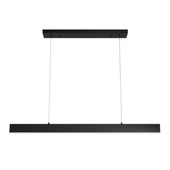 Canoga LED Chandelier in Matte Black (47|13122)