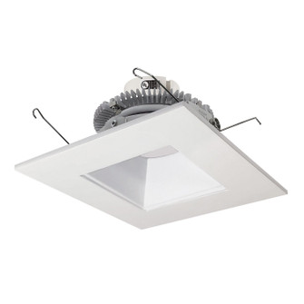Retrofit Reflector in Warm White (167|NLCBC2656TWWW10)