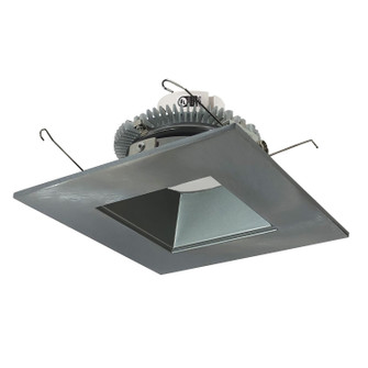 Retrofit Reflector in Natural Metal (167|NLCBC2656TWNN10)