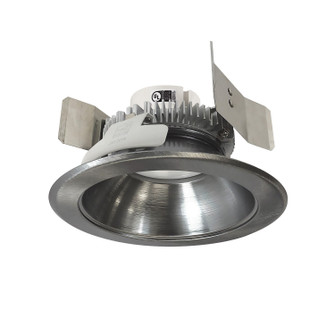 Retrofit Reflector in Natural Metal (167|NLCBC2551TWNN10)