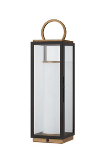 Gareth LED Table Lamp in Patina Brass (67|RTL6723PBRTBK)