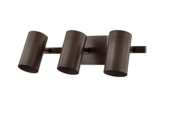Rueben Three Light Bath in Bronze (67|B1907BRZ)