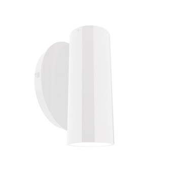 Martin One Light Wall Sconce in White (518|SCN44044)