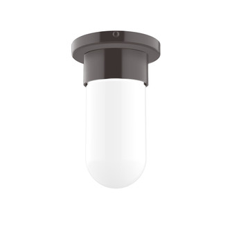 Gambler One Light Flush Mount in Architectural Bronze (518|FME04051)
