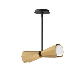 Rizzo Two Light Pendant in Black / Antique Brass (16|10812SWBKAB)