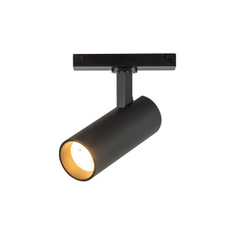 Paolo LED Track Directional Light in Black (347|TRS25925BK)