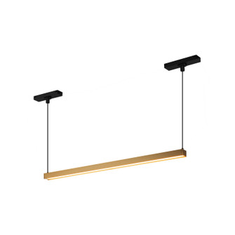 Mira LED Track Linear Pendant in Brushed Gold (347|TRL28122BG)