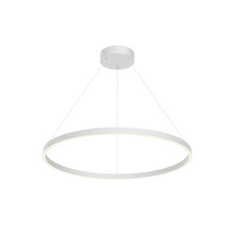 Cerchio LED Pendant in White (347|PD87132WHUNV010)