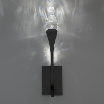 Plumeria LED Outdoor Wall Sconce in Black (529|BWSW25523BK)
