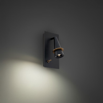 Wizard LED Task Light in Black & Aged Brass (281|BL22510BKAB)