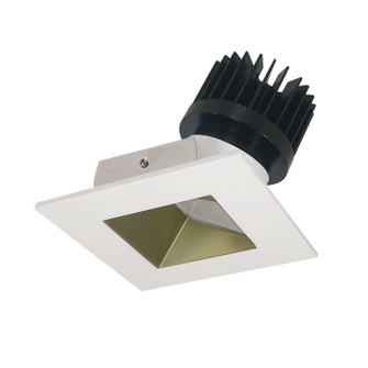 LED Wall Wash in Champagne Haze Reflector / Matte Powder White Flange (167|NIO4SWCDXCHMPWHL)
