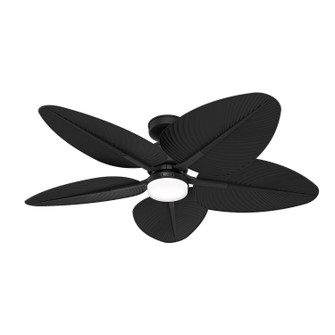 Tropic View 52'' Ceiling Fan in Matte Black (47|53013)