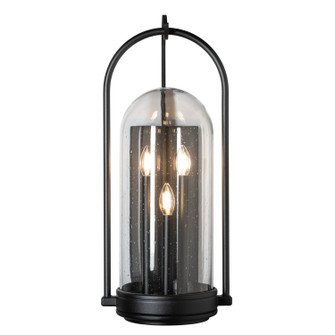 Davis Three Light Outdoor Wall Sconce in Coastal Burnished Steel (39|305213SKT78II0826)