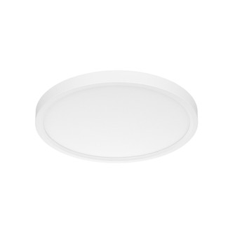 Slim Fit Slim Fit 9'' in White (303|SL95CCTWH)