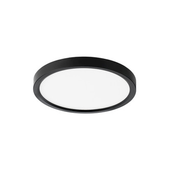 Slim Fit Slim Fit 7'' in Black (303|SL75CCTBK)