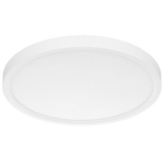 Slim Fit Slim Fit 12'' in White (303|SL125CCTWH)