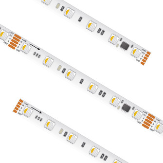 High Output Tape Light (303|HTL20PXLRGBW624VDC16)
