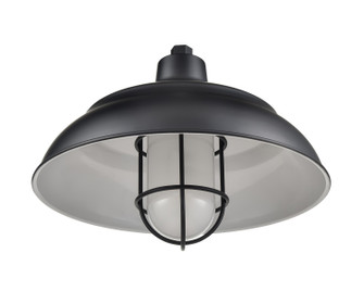 R Series One Light Warehouse Shade in Satin Black (59|RWHCGS17SB)
