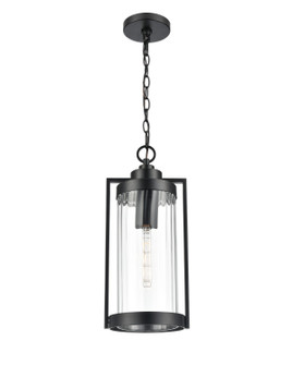 Braselton One Light Outdoor Hanging Lantern in Powder Coated Black (59|192401PBK)