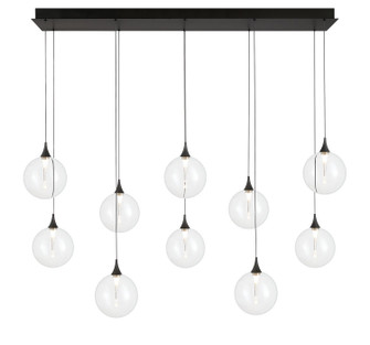 Ten Light Chandelier in Black (40|48933018)