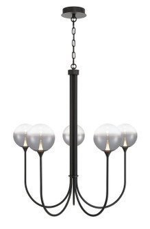 Iissa LED Chandelier in Matte Black (40|48923026)