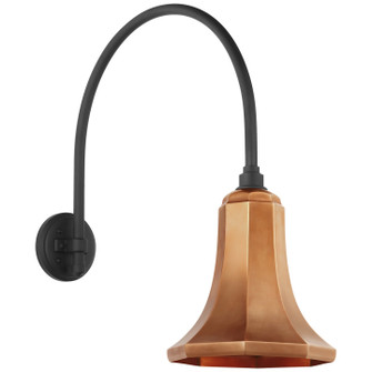 Academy Barn Light LED Barn Light in Matte Black (268|TOB2815MBKS9SC)