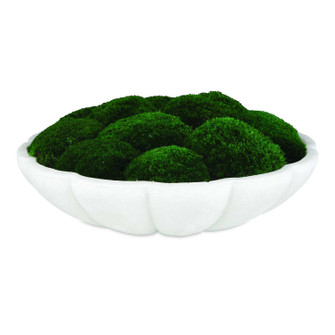 Awaken Moss Centerpiece in Ivory (52|60232)