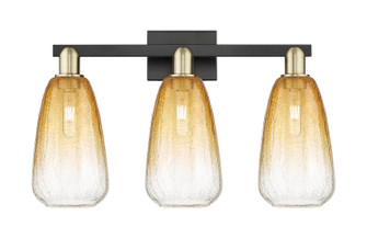 Arcadia Three Light Bath Vanity in Black Antique Brass (405|7163WBABG4806AM)