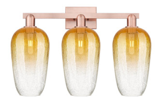 Arcadia Three Light Bath Vanity in Antique Copper (405|7163WACG4847AM)