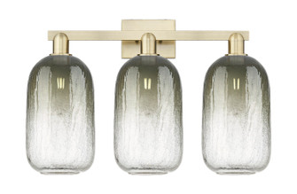 Arcadia Three Light Bath Vanity in Antique Brass (405|7163WABG4827SL)