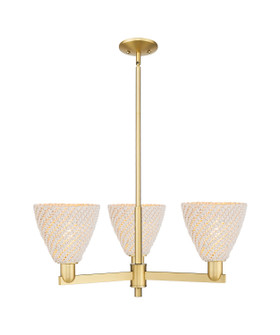 Arcadia Three Light Pendant in Satin Gold (405|7163CRSGNBD75NAT)