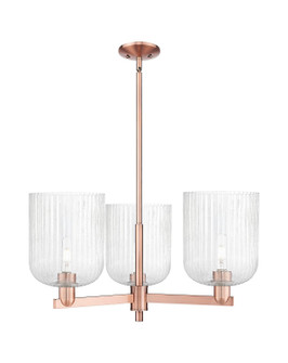Arcadia Three Light Pendant in Antique Copper (405|7163CRACG5598SDY)