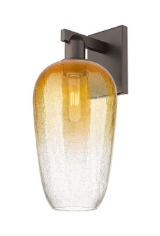 Arcadia One Light Wall Sconce in Oil Rubbed Bronze (405|7161WOBG4847AM)