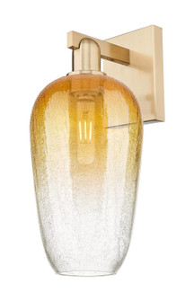 Arcadia One Light Wall Sconce in Champagne Bronze (405|7161WCBG4847AM)