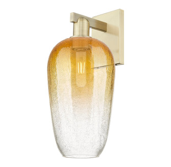 Arcadia One Light Wall Sconce in Antique Brass (405|7161WABG4847AM)