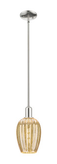 Arcadia One Light Mini Pendant in Polished Nickel (405|7161SPNG4576ME)