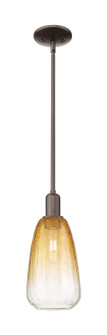 Arcadia One Light Mini Pendant in Oil Rubbed Bronze (405|7161SOBG4806AM)