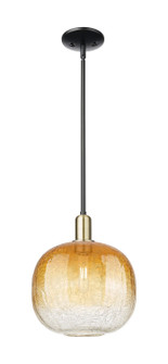 Arcadia One Light Mini Pendant in Black Antique Brass (405|7161SBABG48110AM)