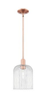 Arcadia One Light Mini Pendant in Antique Copper (405|7161SACG5598CL)