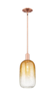 Arcadia One Light Mini Pendant in Antique Copper (405|7161SACG4827AM)