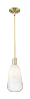 Arcadia One Light Mini Pendant in Antique Brass (405|7161SABG4806OP)