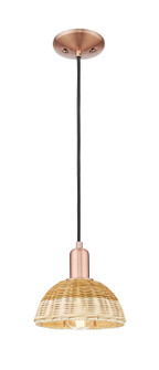 Arcadia One Light Mini Pendant in Antique Copper (405|7161PACNBD275NAT)