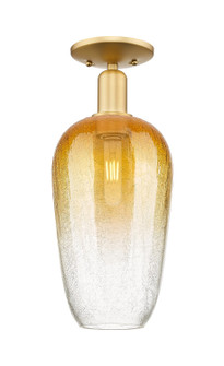 Arcadia One Light Semi-Flush Mount in Satin Gold (405|7161CSGG4847AM)