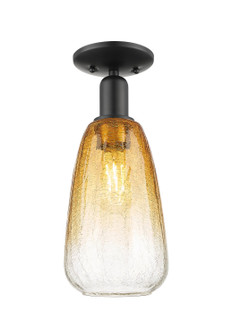 Arcadia One Light Semi-Flush Mount in Matte Black (405|7161CBKG4806AM)
